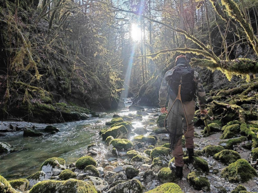 Un pêcheur à la truite dans des Georges d'une rivière de l'Ain