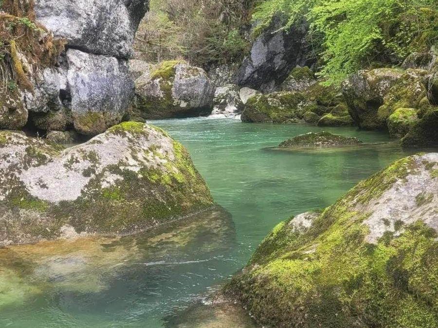 Stage de pêche dans département de l'Ain